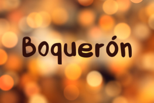 Boquerón: The Brush Font for Bold Campaigns
