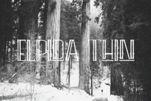 Elpida Thin: A Delicate Typeface for Modern Branding