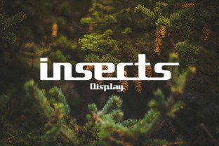 Insects Font: A Retro-Futurist Display Typeface for Web Design