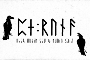 Paradox Runa Typeface for Editorial Design