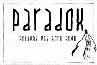 Paradox X Font for Bold Business Branding