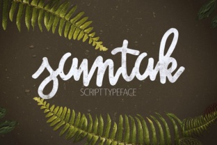 Samtak Script: A Bold Marker Typeface for Brands