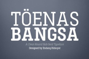 Toenas Bangsa Font for Polished Small Business Branding